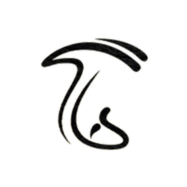 هنر ایماج
